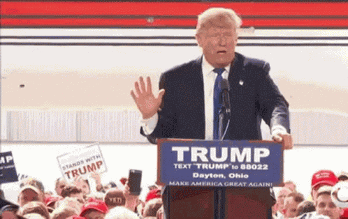 Schmuck Trump Schmuck GIF