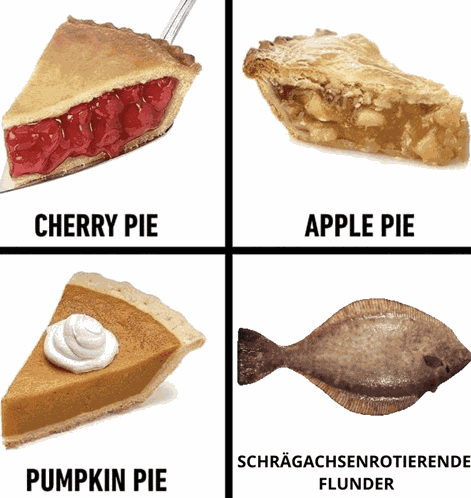 Schrägachsenrotierende Flunder Flunder GIF