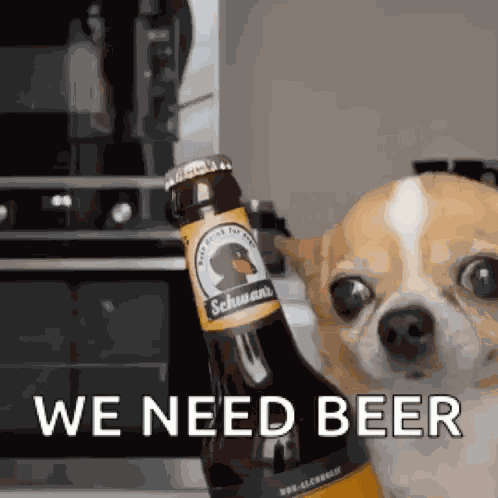 Schwanchi GIF