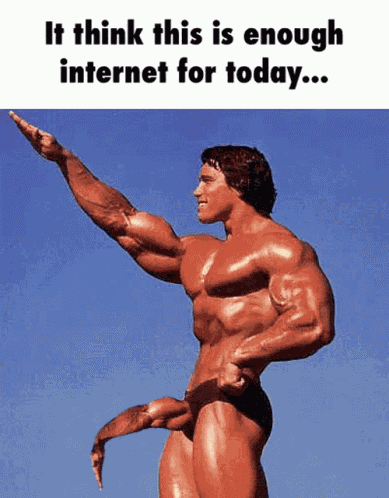 Schwarzenegger I Think Thats Enough Internet For Today GIF