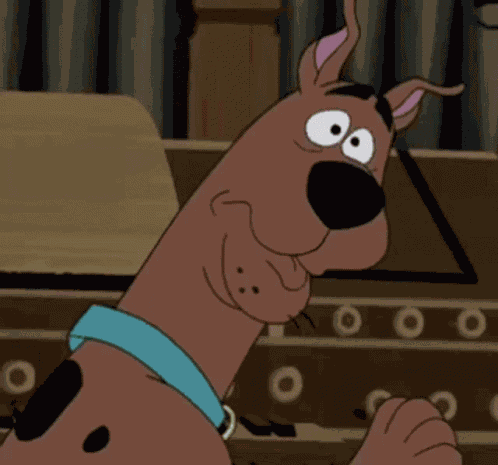 Scooby Doo Guess Who GIF
