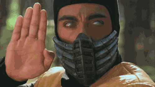 Scorpion Cat Mortal Kombat GIF
