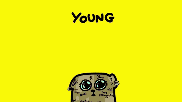 Scottex Young GIF