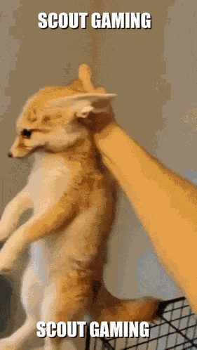 Scout Toontown Corporate Clash Toonown Break The Law GIF