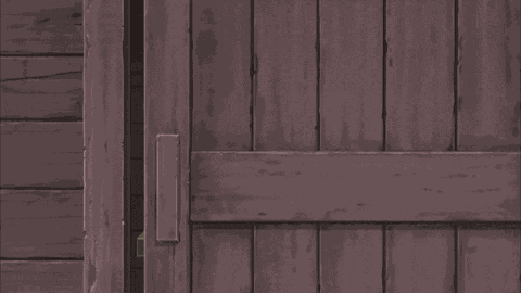 Scrafty Pokemon GIF