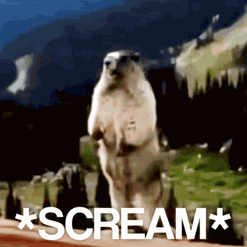 Scream Angry GIF