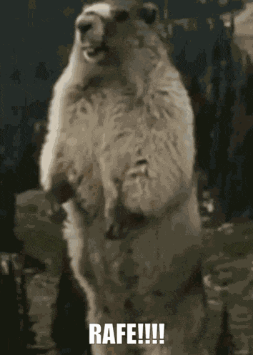 Screaming Gopher GIF