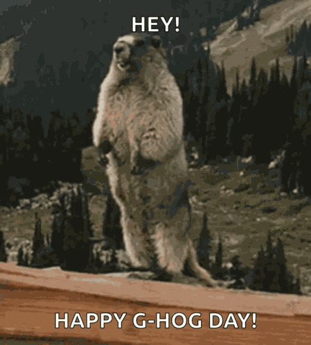 Screaming Groundhog GIF
