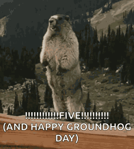 Screaming Groundhog GIF