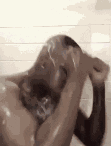 Screaming Shower GIF