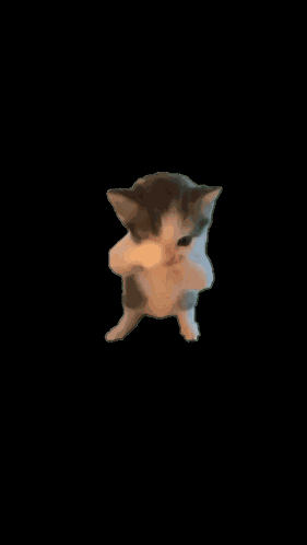 Scuba Cat GIF