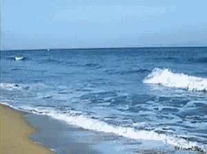 Sea Beach GIF