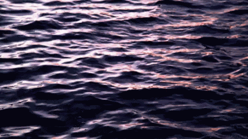 Sea Ocean GIF