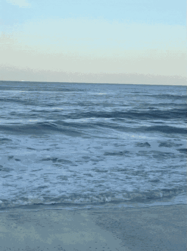 Sea Ocean GIF