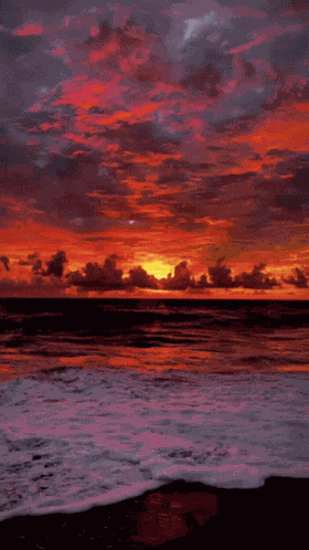 Sea Sunset GIF