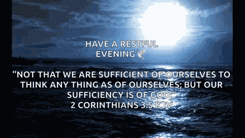 Sea Waves Moonlight GIF