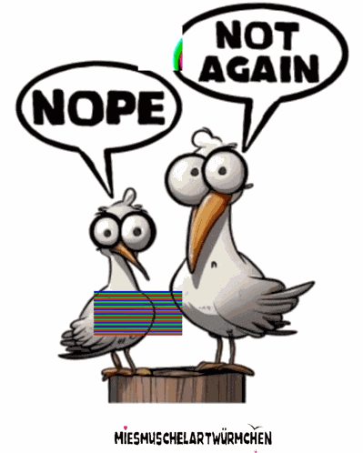 Seagulls Nope GIF