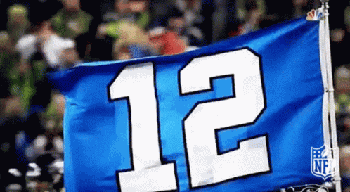Seahawks Seattle GIF