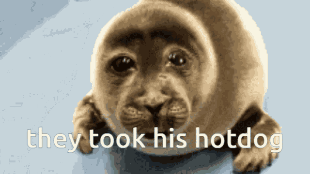 Seal Sad GIF