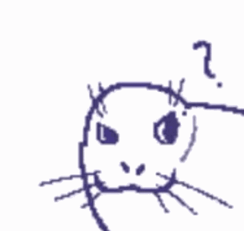 Seal Seal Confusion GIF