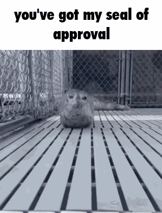 Seal Seal Of Approval GIF