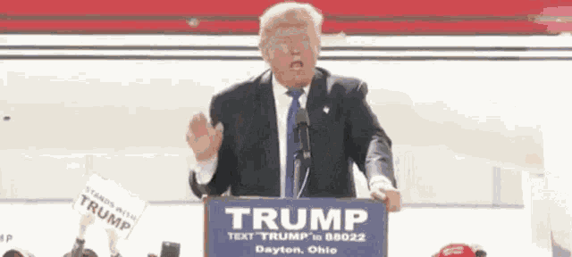 Security Secret Service GIF