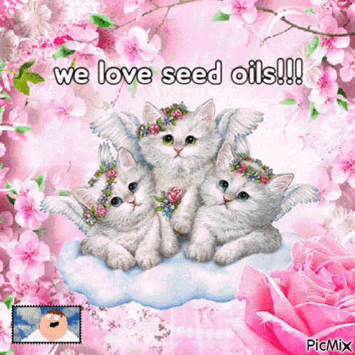 Seed Oils Kittens GIF