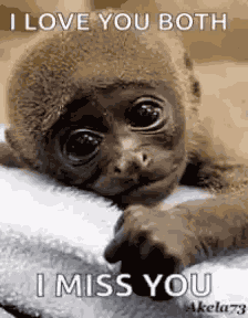 Senan GIF
