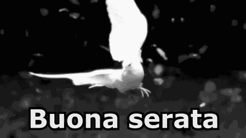 Serata Buona Serata Passa Una Bella Serata Saluti Ciao GIF
