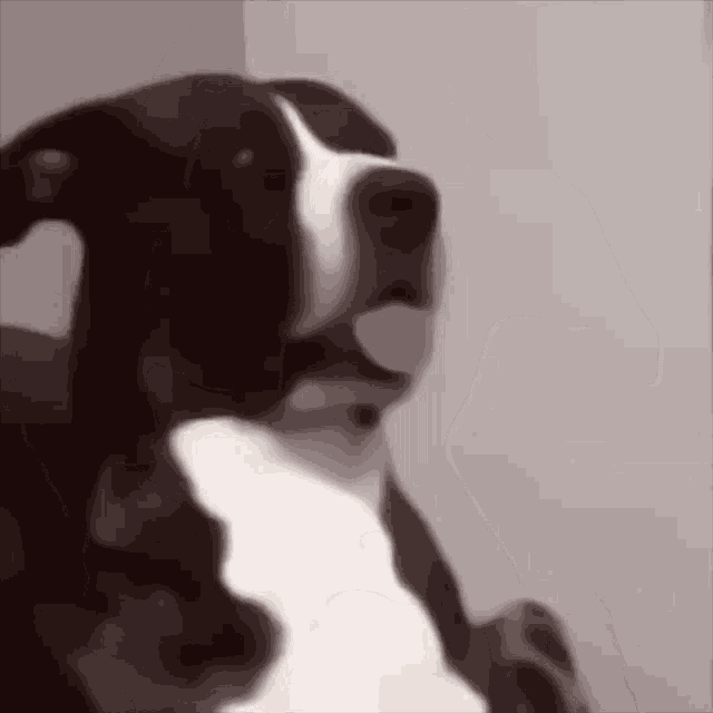 Seriously Really GIF