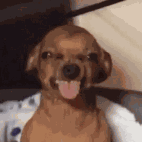 Seventeen Jun Svt GIF