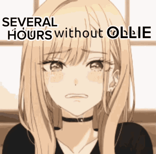 Several Hours Without Ollie Multiple Hours GIF