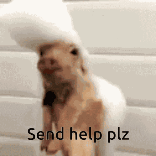 Sexy Elvis Presley GIF