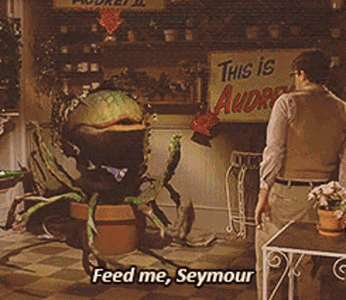 Seymour Feed Me GIF