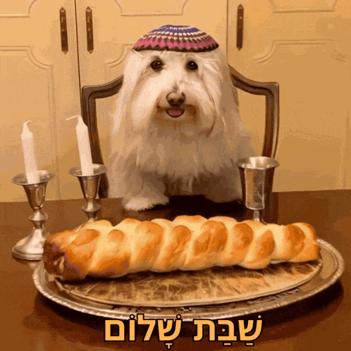 Shabbat Shalom Good Sabbath GIF
