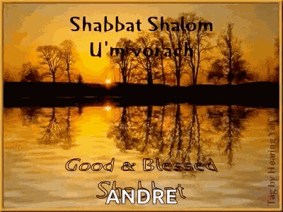 Shabbatshalom Goodandblessedshabbat GIF