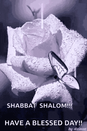 Shabbos GIF