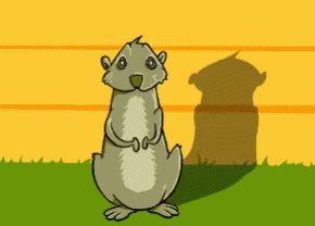 Shadow Groundhog GIF