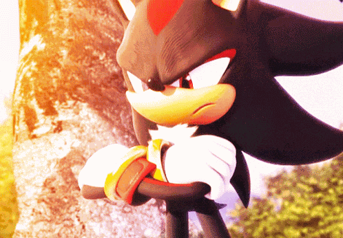 Shadow Shadow The Hedgehog GIF