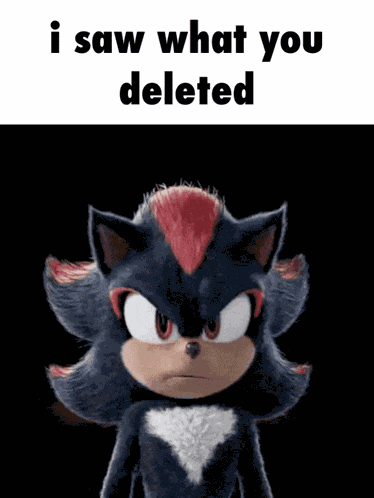 Shadow Shadow The Hedgehog GIF