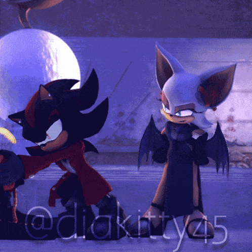 Shadow The Hedgehog Rouge The Bat GIF