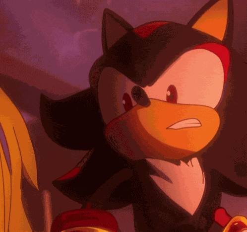 Shadow The Hedgehog Sonic X Shadow GIF