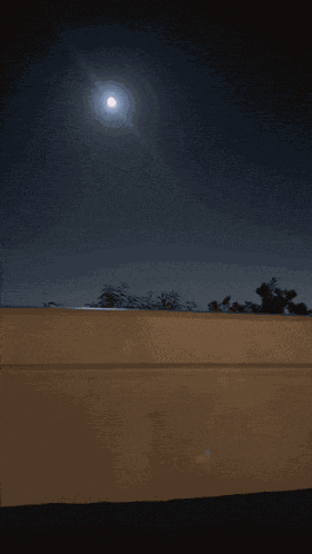 Shagarita Shalymar GIF