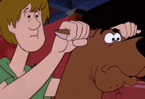 Shaggy Scooby Doo GIF