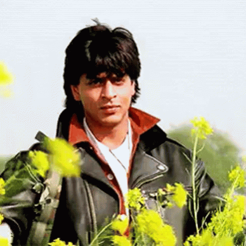 Shah Rukh GIF