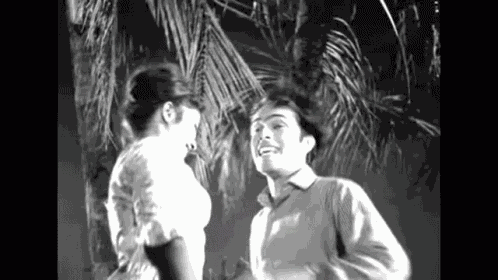 Shake Head Crazy GIF