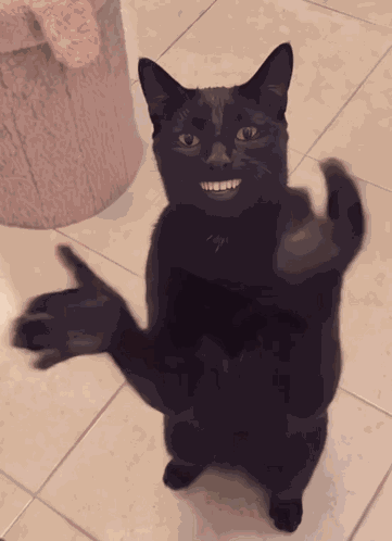Shake My Hand Shake Hand GIF
