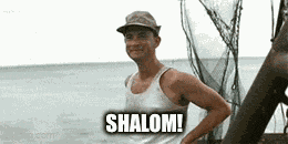 Shalom Waving Hello GIF