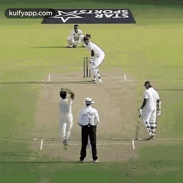 Shami Rocks Sammy Shocks.Gif GIF