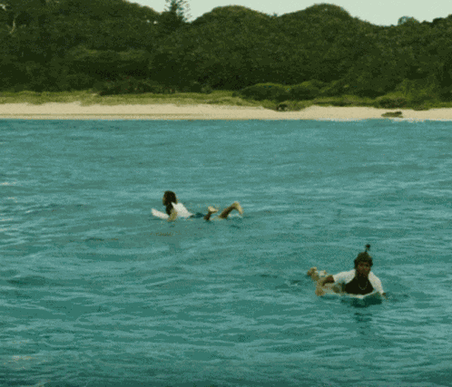 Shark Attack GIF